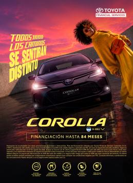 Corolla Sedan - Agosto